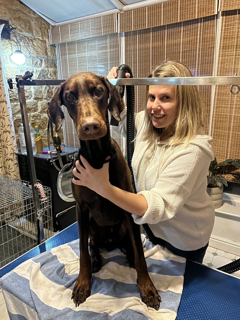 The groomer beside a Doberman standing on the grooming table in the salon